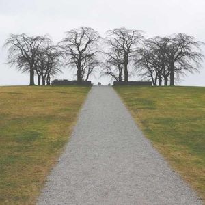 Meet your Posher, Diana